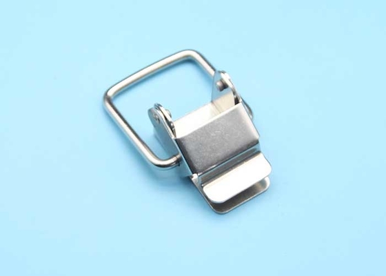 De lichtgewicht Kleine Grendels van Mini Draw Latch SS304 trekken Klinken